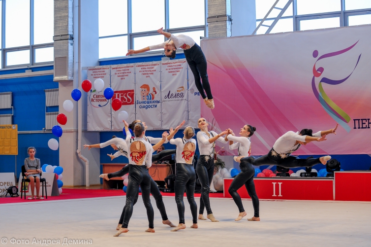 Нижегородские команды вернулись с Кубка России по эстетической гимнастике!
