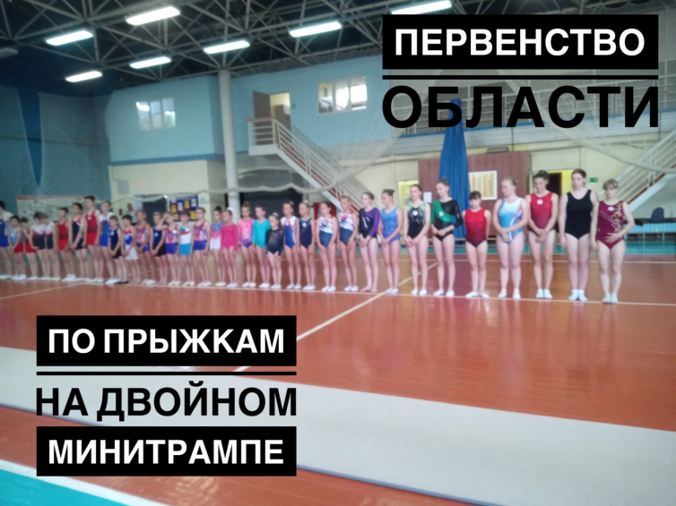 Лично-командный Чемпионат и Первенство Нижегородской области по прыжкам на двойном минитрампе